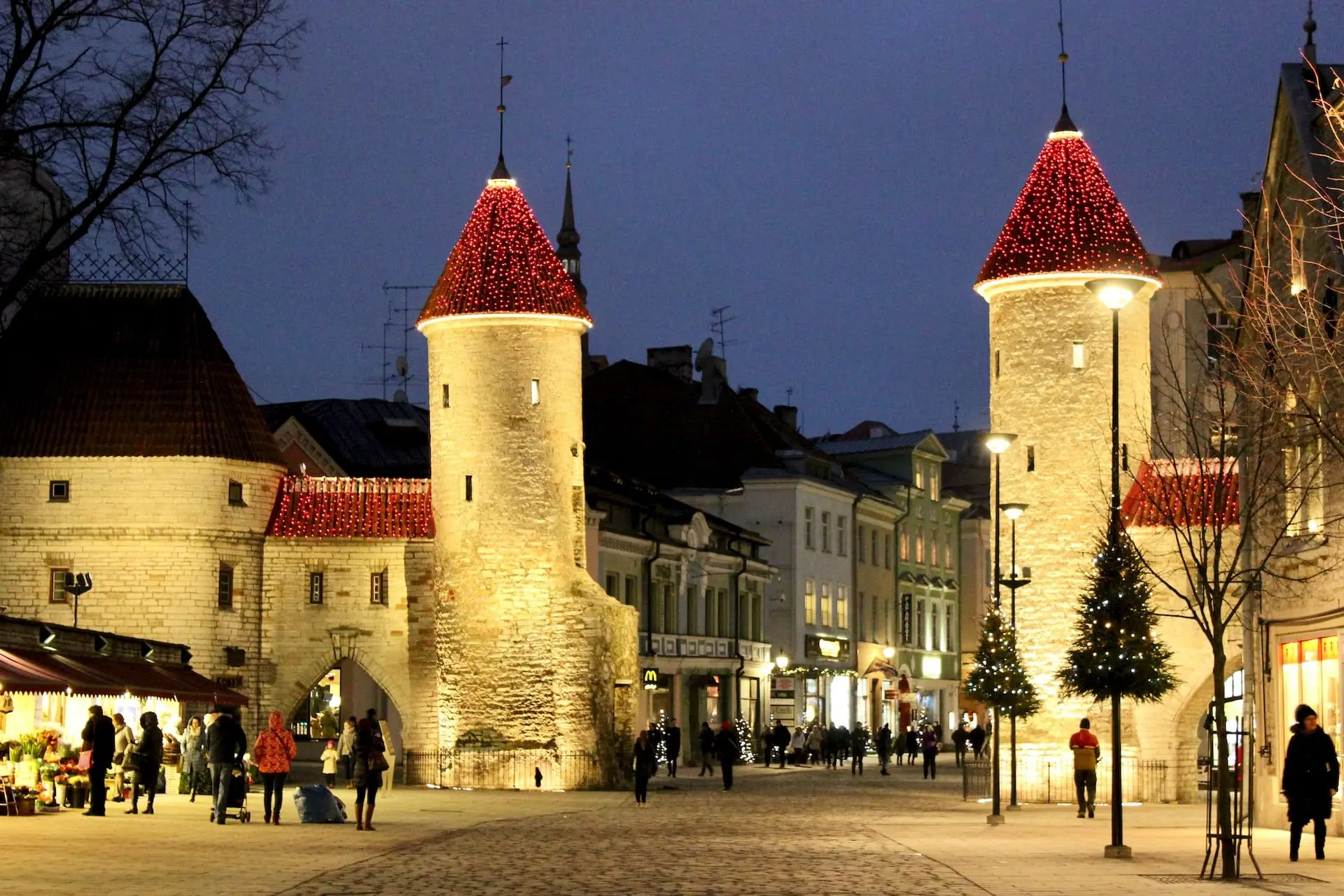Study in Estonia
