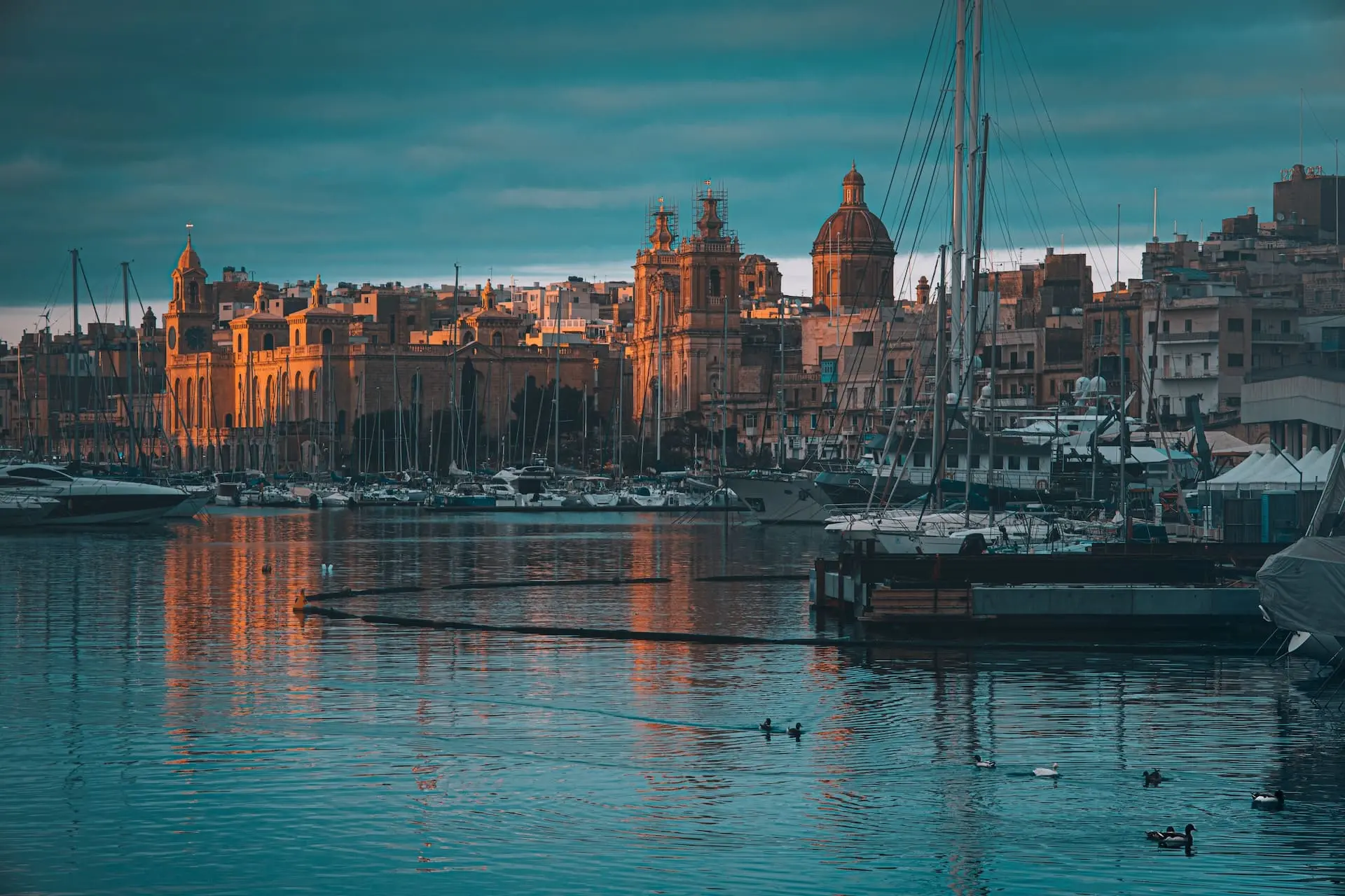 Study in Malta